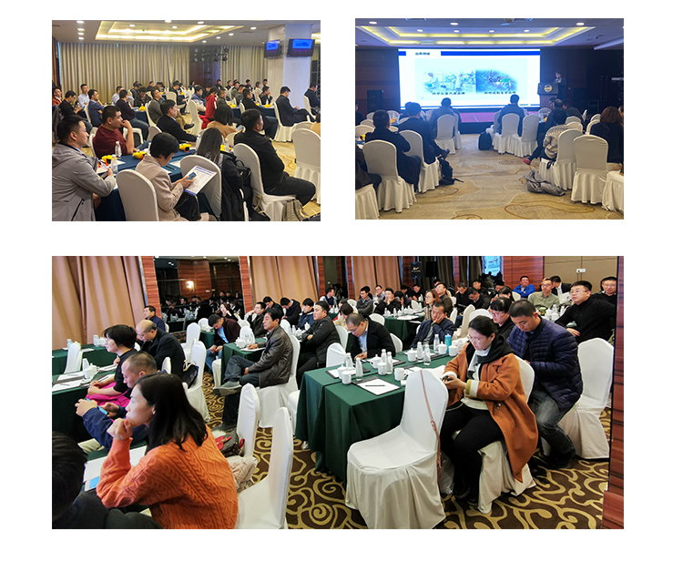 照片組合.png 照片組合.png